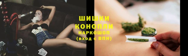 ГАЛЛЮЦИНОГЕННЫЕ ГРИБЫ Навашино