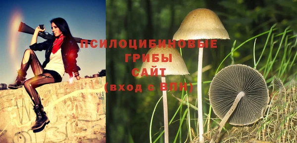 молекула духа Нея