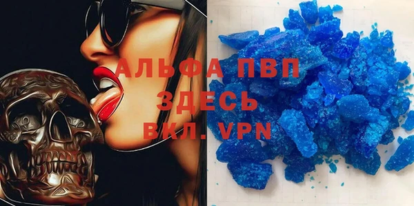эйфоретик Надым