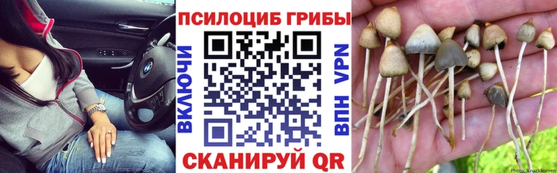 Псилоцибиновые грибы MAGIC MUSHROOMS  как найти закладки  Безенчук 